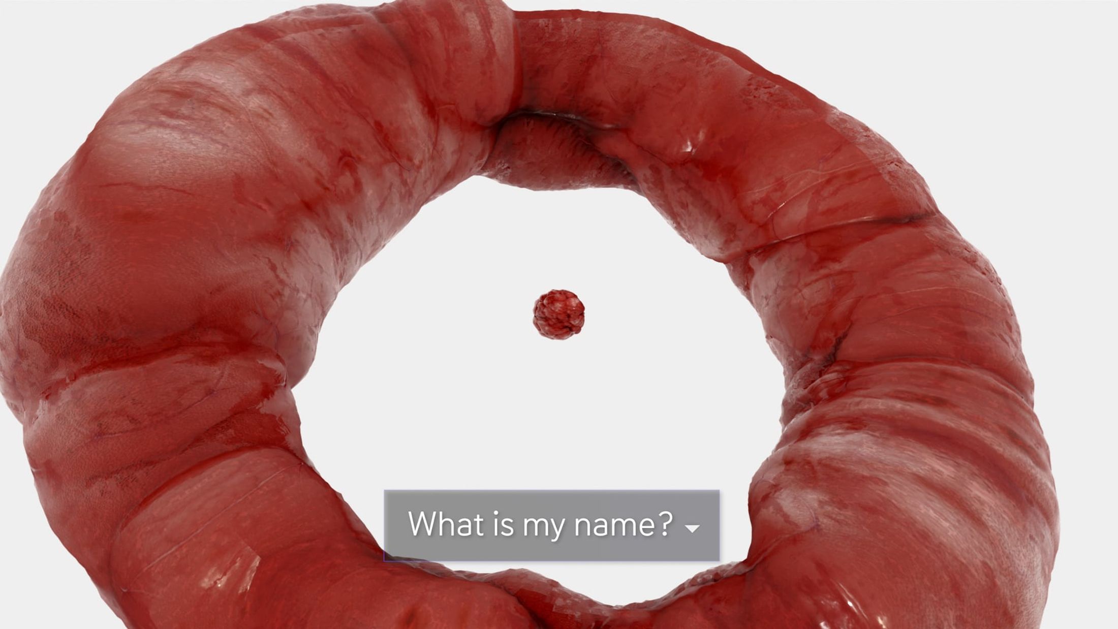 Still from Alison (2021) by Melle Nieling, a ring of flesh surrounds a sphere of flesh, a subtitle reads: 'What is my name?'