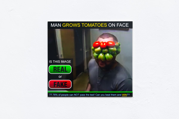 a print on a white wall, the print is of an advert that claims that a man is growing tomatoes on his face and asks viewers to click whether the image of the man is real or fake, the image shows a man with green and red tomatoes growing on his face