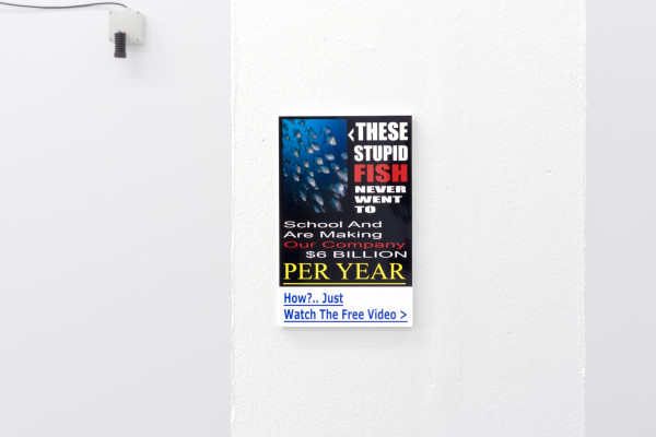 small print with online clickbait advert about stupid fish that make a company $5 billion per year, it urges viewers to watch to free video to find out how