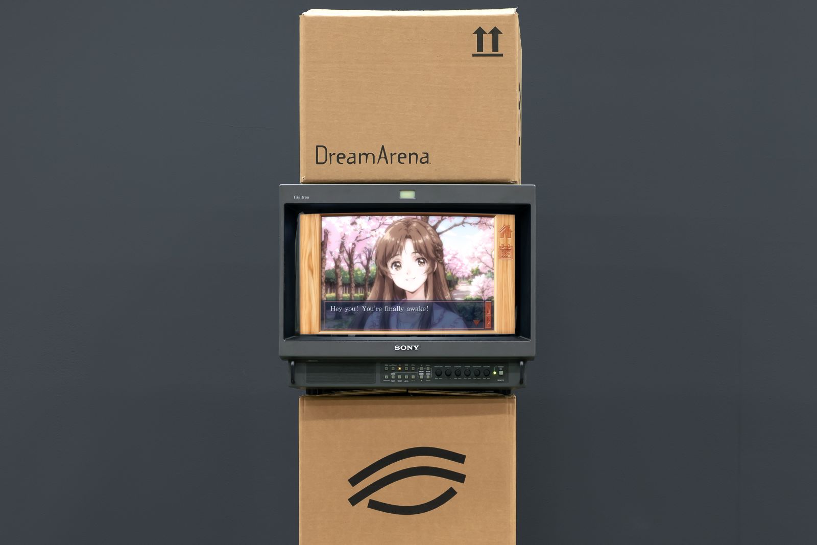 Close-up of DreamArena (2024) by Melle Nieling